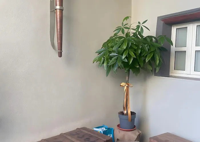 Luxar And Guest house