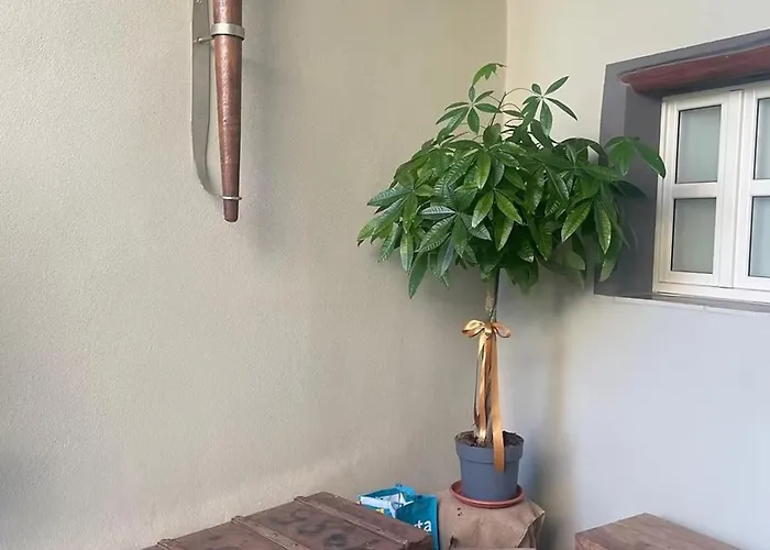 Luxar And Guest house Assemini